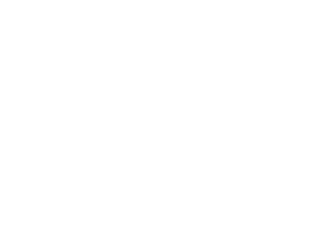 12-t