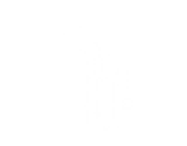 123-t