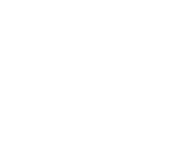 13-t