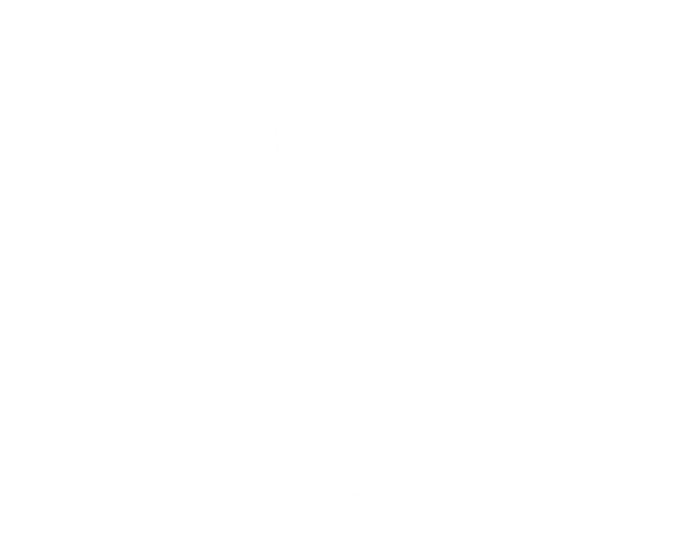 14-t