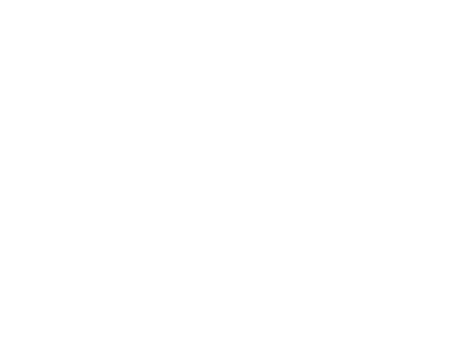 15-t