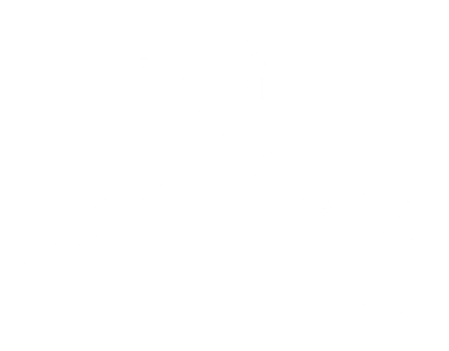 16-t