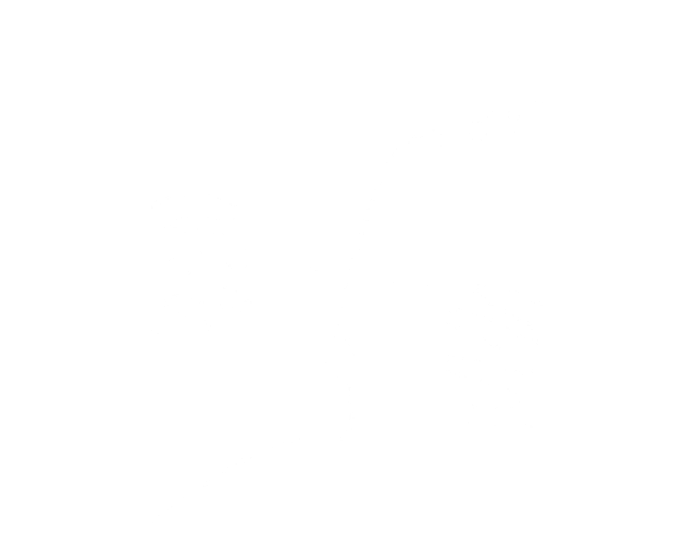 19-t