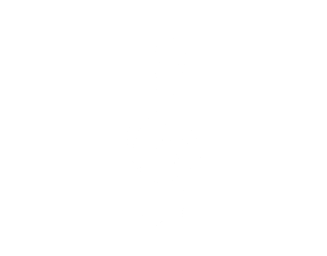 29-t
