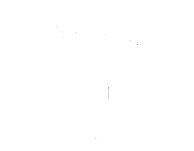 36-t