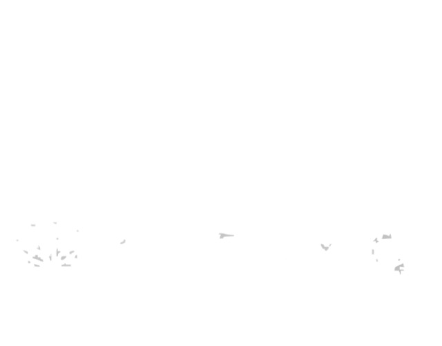 78-t