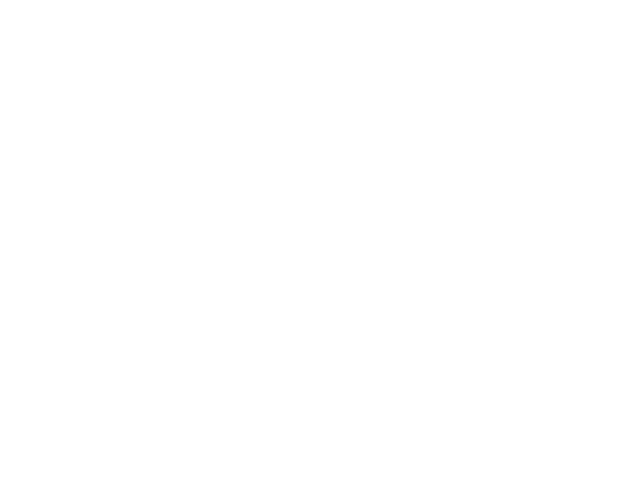 88-t