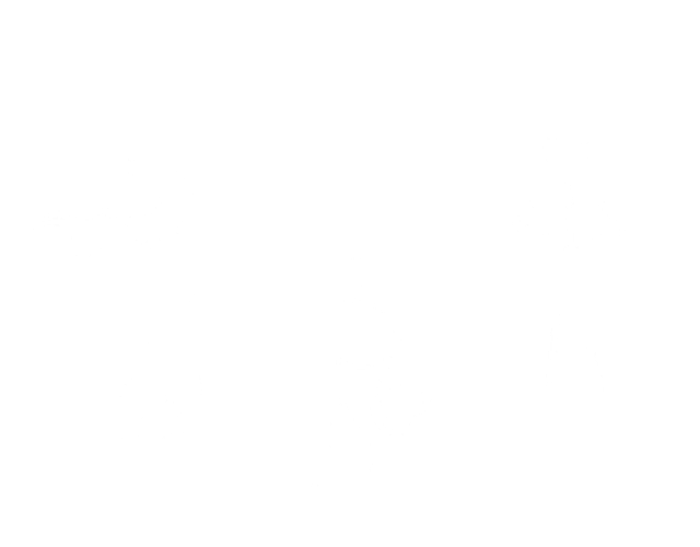 91-t